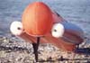 1990. Equip d'ailerons inclins, le premier bateau gonflable des frres Legaignoux est trs sophistiqu